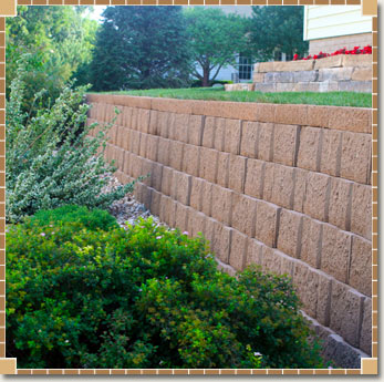 Bushes and Wall